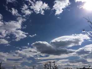 今日天气，阳光正好，微风不燥