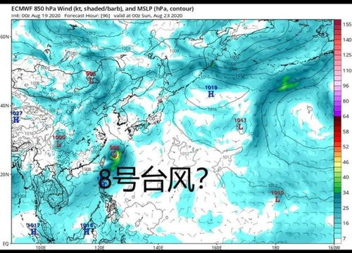 台风地图，风眼中的秩序与混沌