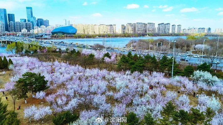 沈阳一周天气展望，冷暖交替，春意渐浓