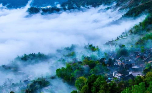 夏天最适合避暑的城市，在清凉中遇见山水与烟火