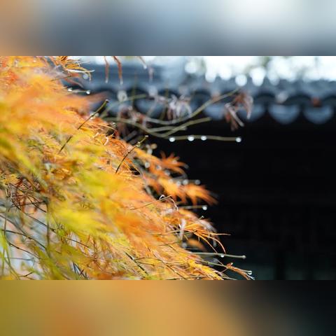 最精准的天气预报软件下载，告别出门被雨淋，这份实测清单请收好