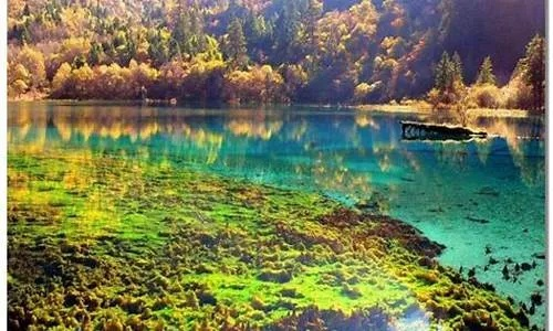四川九寨沟天气预报15天查询，出行前必看的实用指南