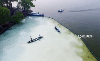 上海一周天气展望，阴雨与晴好交替，气温逐步回升