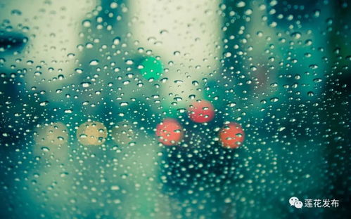 上海今日阳光短暂，午后需防范雷雨