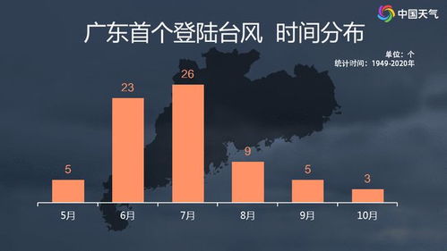 指尖上的风眼，台风预警软件如何重塑我们的防灾生活