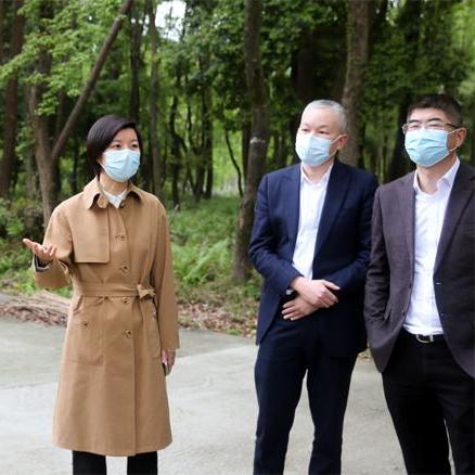 永嘉天气预报30天查询，掌握未来一个月天气变化，从容规划生活