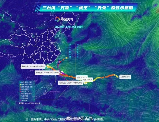台风路径上的生死时速，一场与自然博弈的警示录