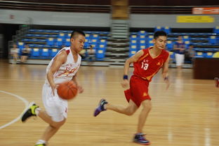 卢森堡男子职业篮球联赛，卢森堡男子职业篮球锦标赛 V3.14.9