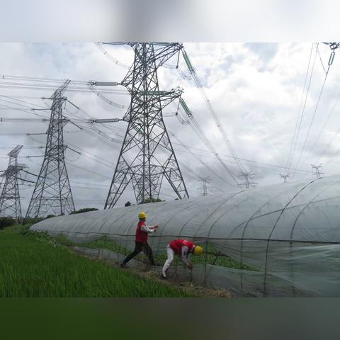 风雨将至，最新台风动态与防御指南