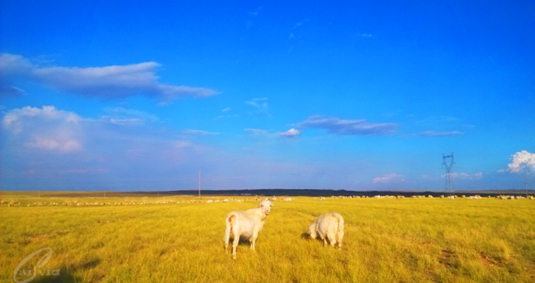 塞上江南的四季物语，巴彦淖尔天气