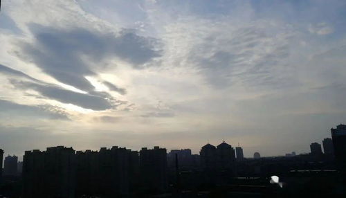 那一周的阳光与雨
