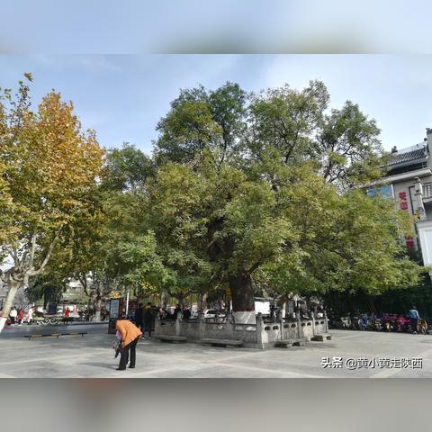 户县天气预报，天气与生活的温柔对话