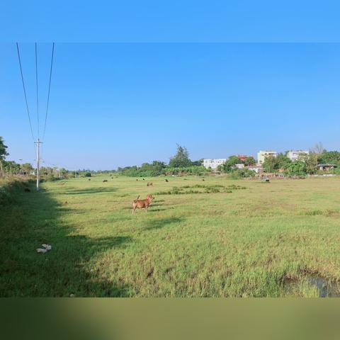 广西北海天气，海风轻拂下的四季温柔