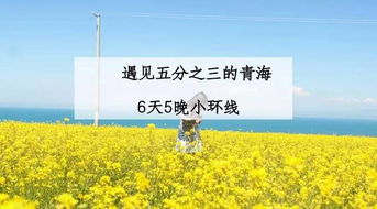 隆安天气，藏在四季时光里的心情诗篇