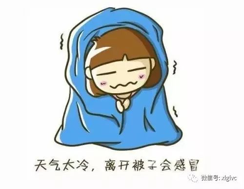 气温摇摆不定？别慌！教你巧用15天查询，精准拿捏穿衣节奏