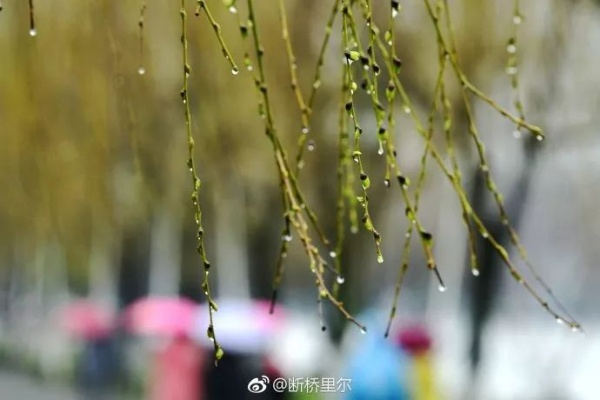 苏杭未来10天天气，烟雨朦胧转晴暖，春意渐浓需防倒春寒