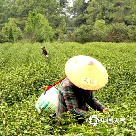 江西未来7天天气，晴雨交替，气温波动需留意