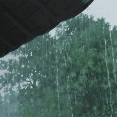 浦东天气，一座新城的呼吸与心跳