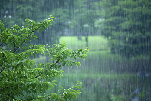 雨落浏阳河，天气预报里的故乡回声