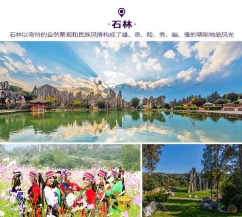盛夏版纳，7-8月雨林与阳光的交响诗