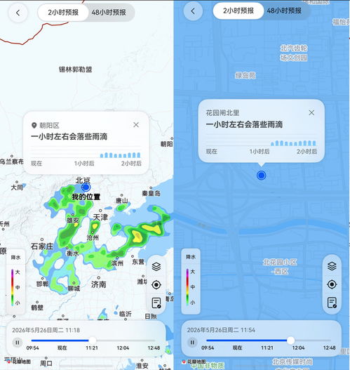 闵行天气预报,温柔的城市呼吸与气象智慧 闵行天气预报,温柔的城市呼吸与气象智慧
