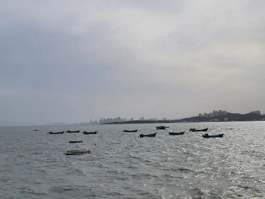 青岛15天天气预报，海风轻拂，晴雨交替的滨海时光