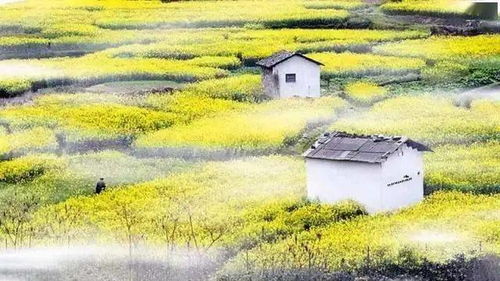 商丘睢县天气，春日暖阳细雨交织，出行需关注天气变化