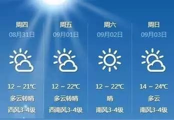 冰城十五日，在哈尔滨的天气预报里，读懂冬天的另一种呼吸