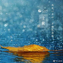 文昌的雨，总是不请自来