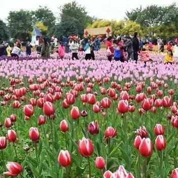 柳州未来15天天气指南，从容规划两周生活与出行